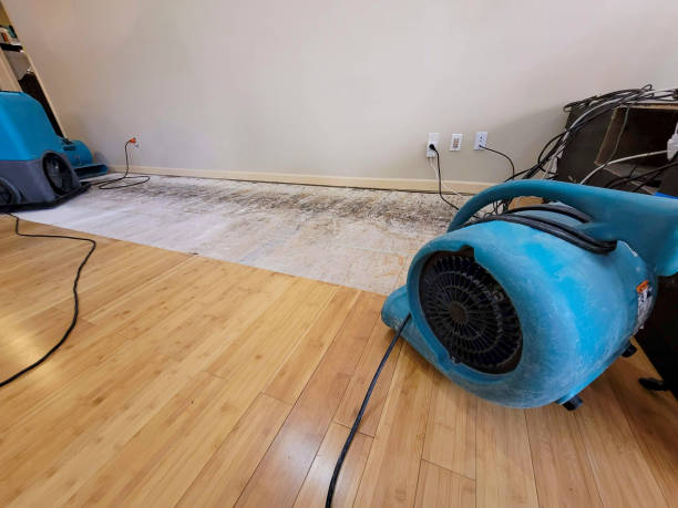 Professional Structural Drying technician working in Uneeda, WV